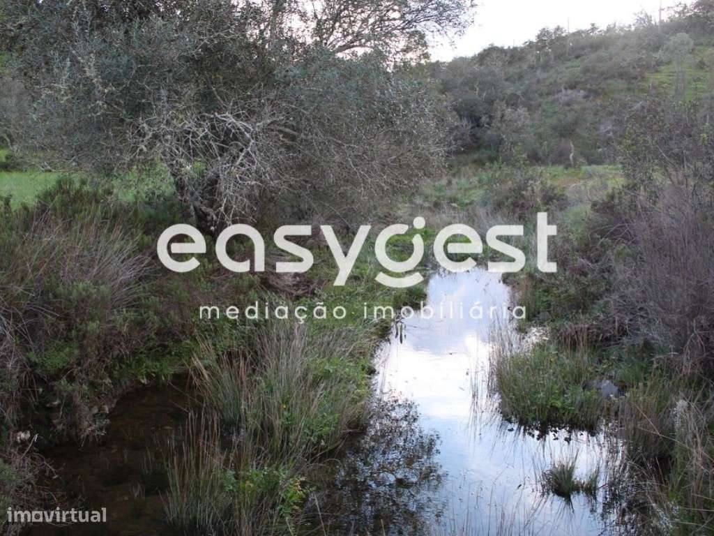 Terreno Rústico com 6.5ha em Montado de Sobreiro c/ eletricidade - Grande imagem: 3/14