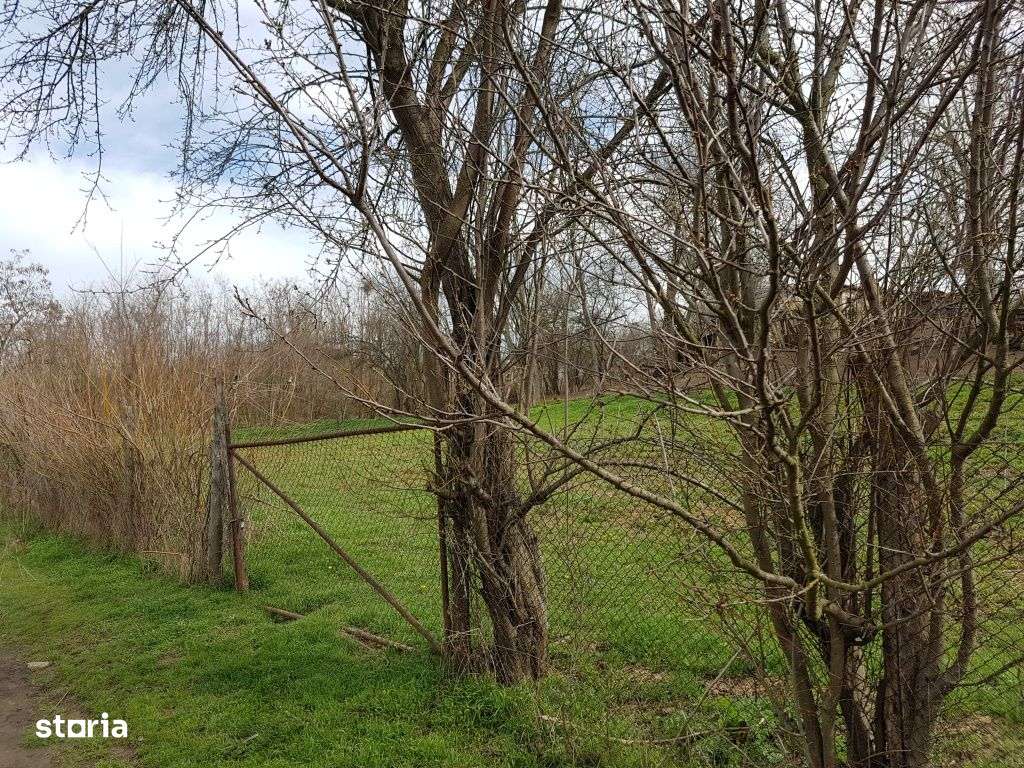 Vanzare teren intravilan, Lacul Sarulesti, 1.000 mp, comision 0% - Imagine principală: 2/6