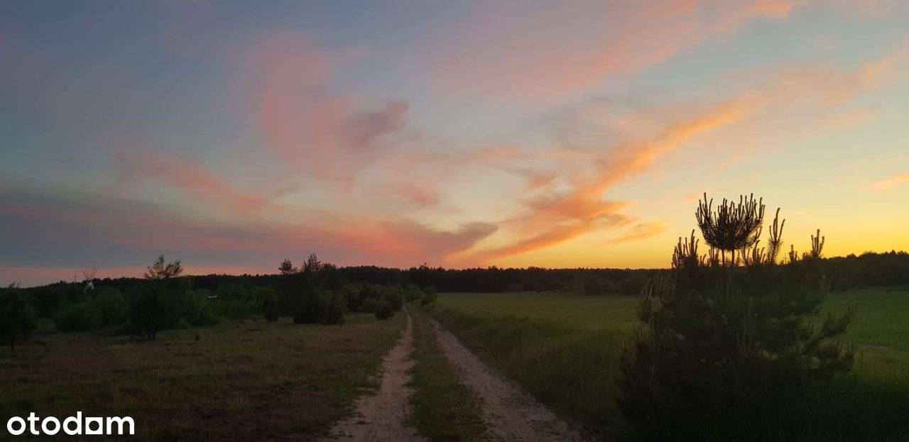 Malownicze działki na Poj. Brodnickim - Bryńsk - Pełny obrazek: 4/9