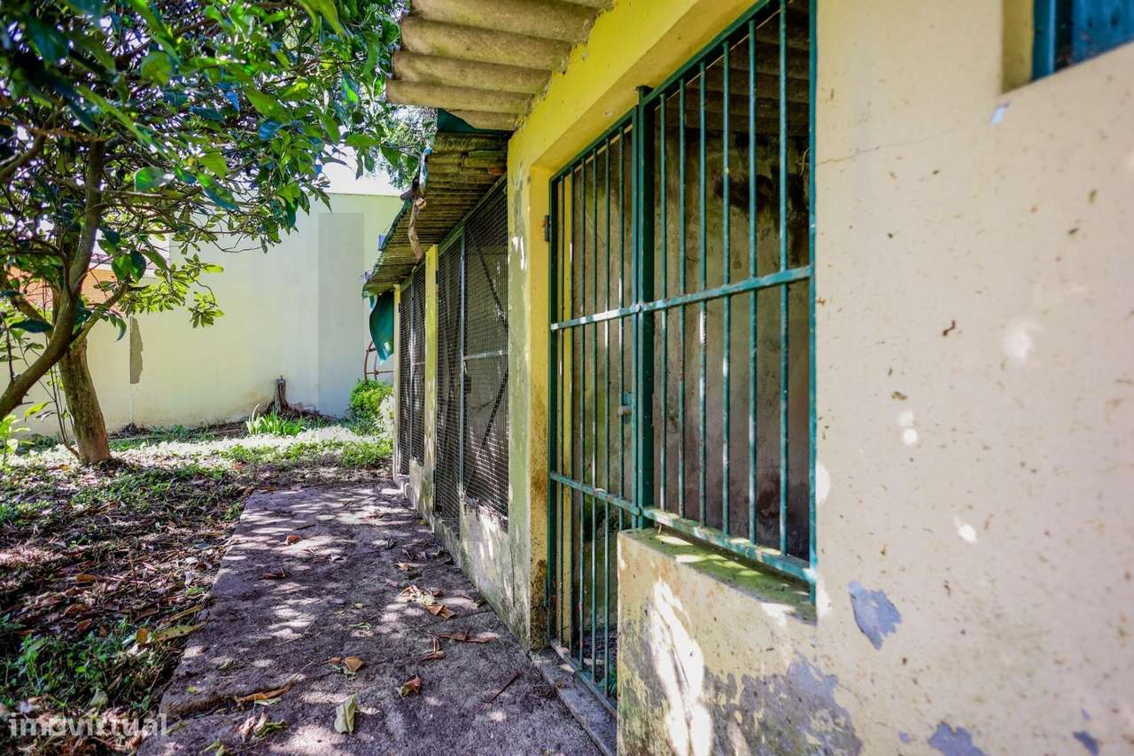 Moradia com 1451m2 de Terreno e Elevado Potencial de Valorização em Sã-28