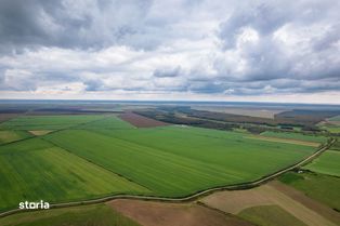 Teren arabil de 16.47 hectare în Vorniceni