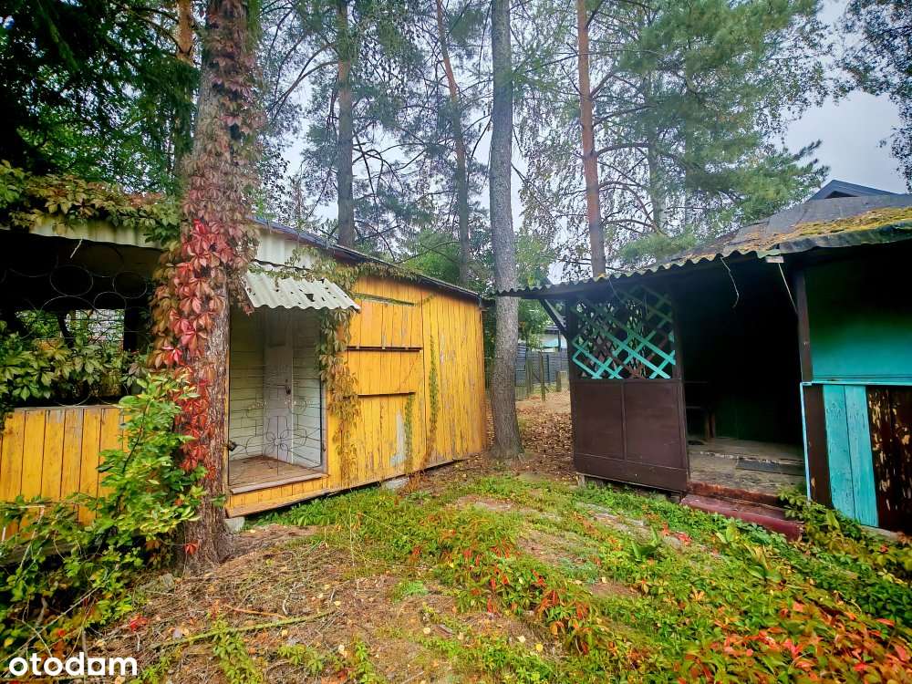 Działka 150m2/5 minut do jeziora/Okuninka - Pełny obrazek: 4/10