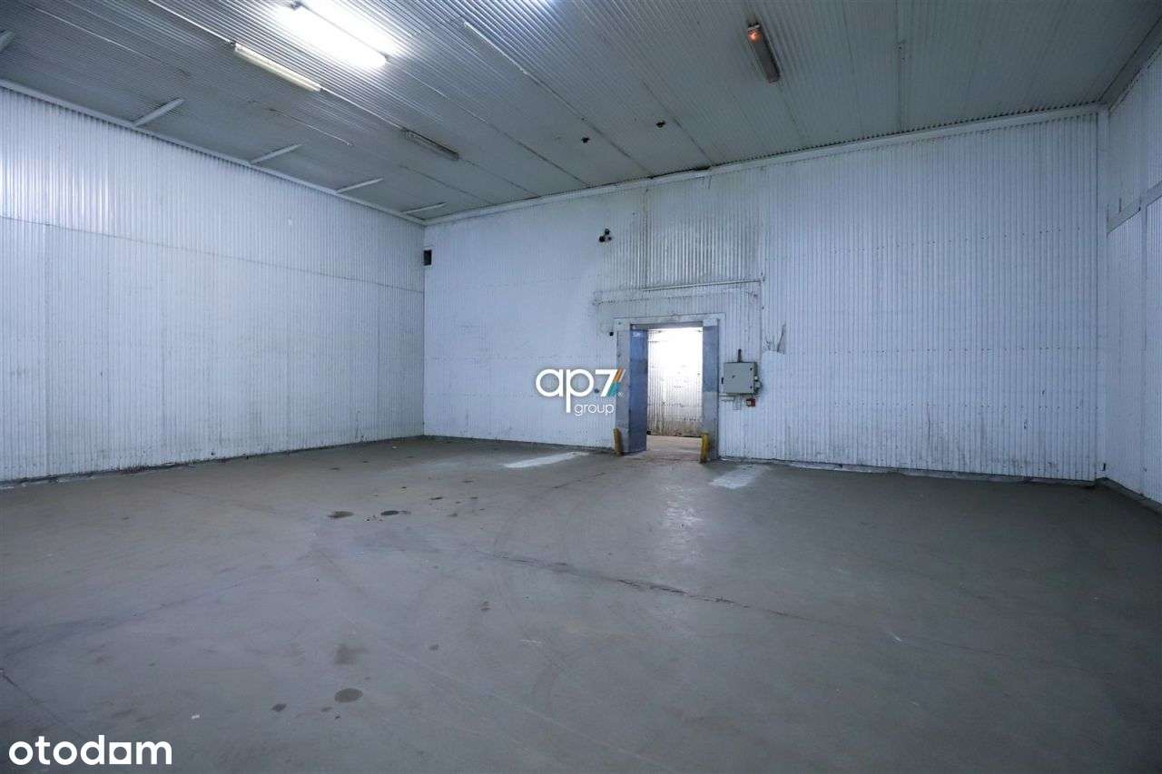 Hala/Magazyn, 300 m², Kraków - Pełny obrazek: 2/7