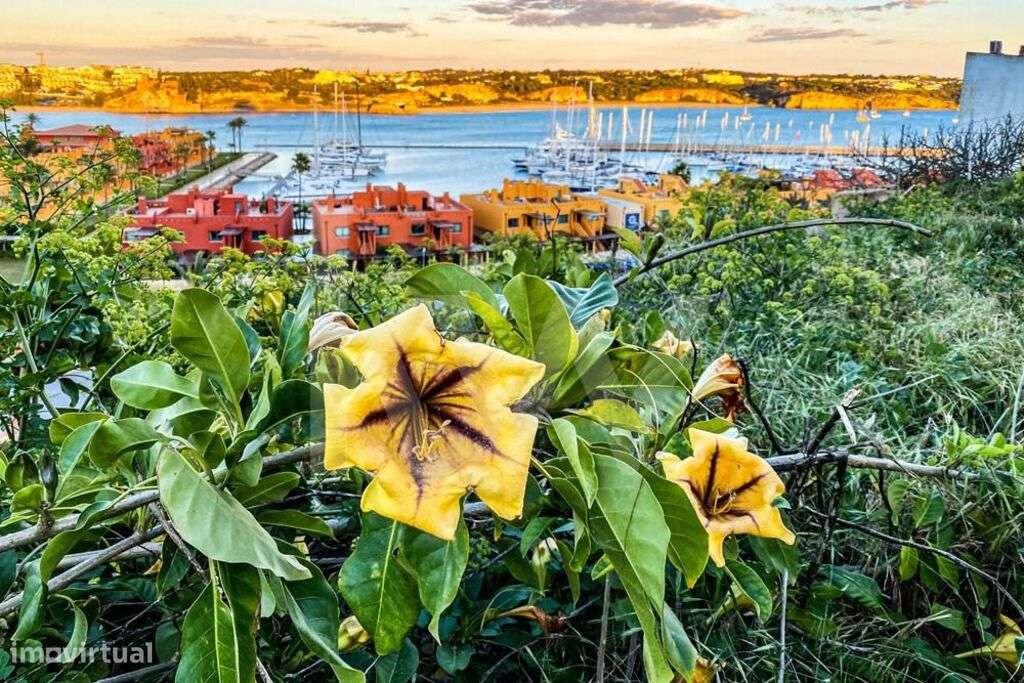 Apartamento T2 renovado para Venda na 1ª linha da Praia - ALGARVE - PR - Grande imagem: 5/48