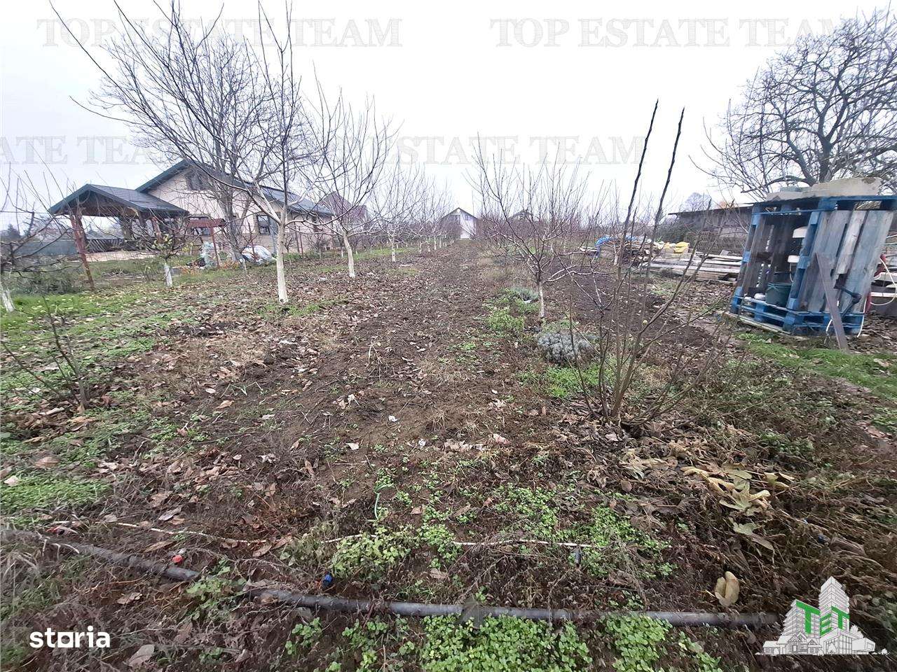 Teren Intravilan Moara Vlasiei 963 mp, Zona Superba,-4