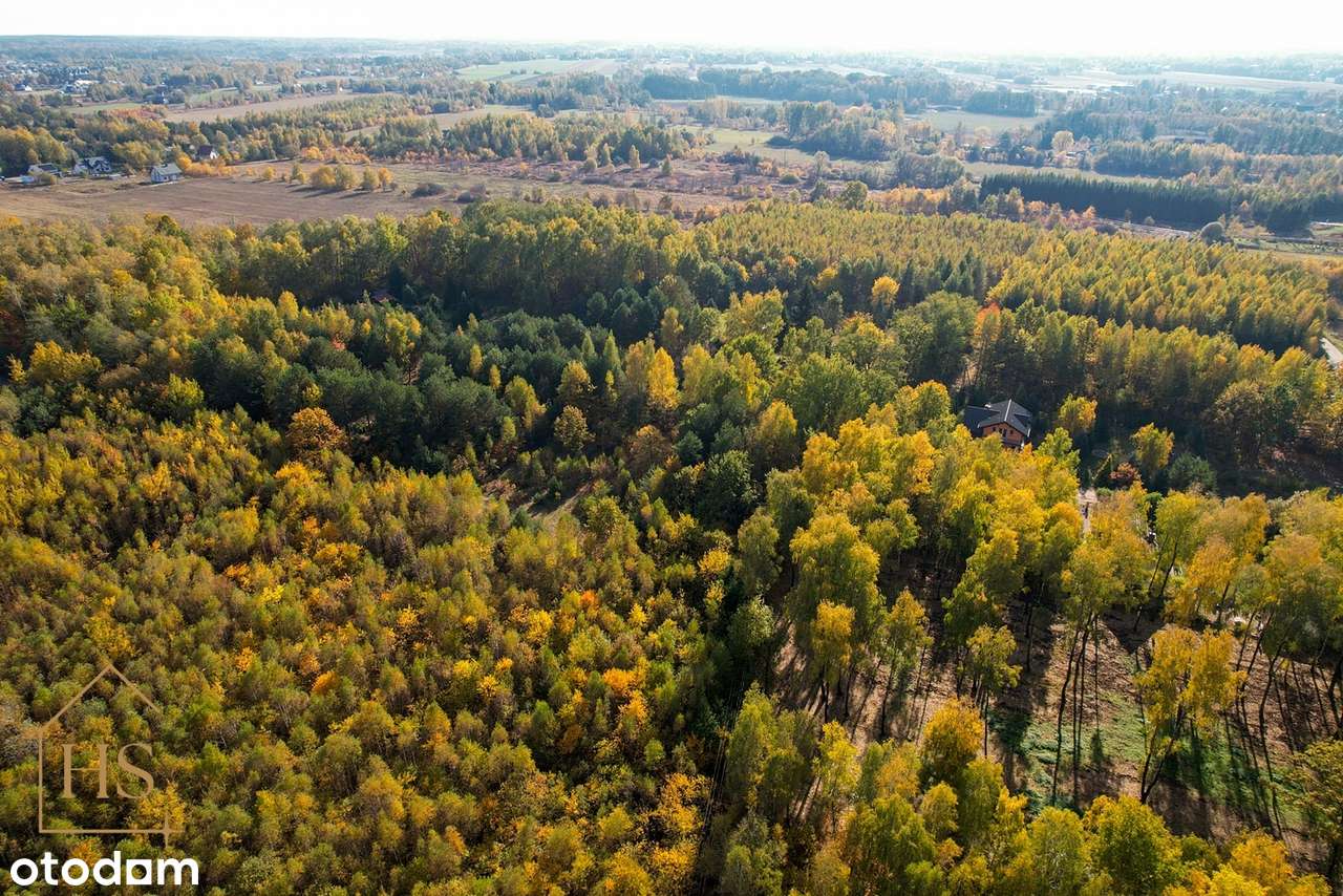 Działka budowlana w otulinie drzew/Żabia Wola/ 35 min do Warszawy-14