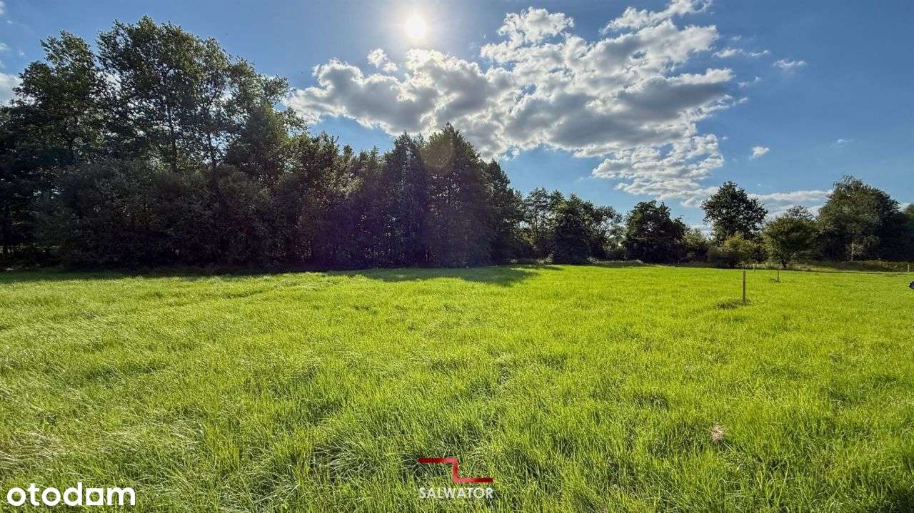 Działki budowlane 10 - 13 ar gmina Skawina - Pełny obrazek: 2/19