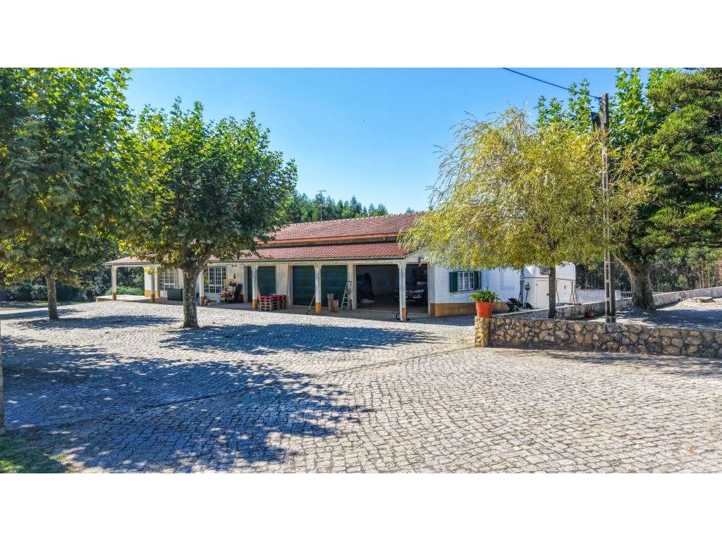 Quinta com 3,14 Hectares e Piscina | Ferreira do Zêzere-58
