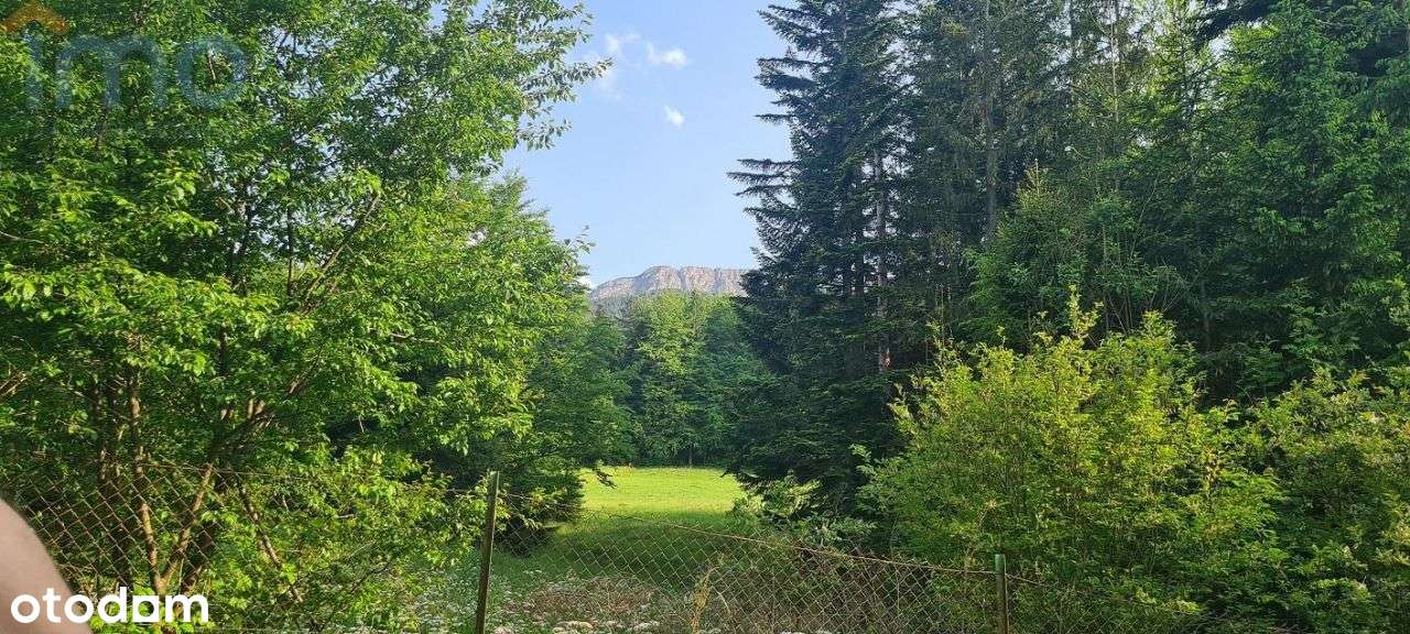 Działka przy dolinie Strążyskiej w Zakopanem-5