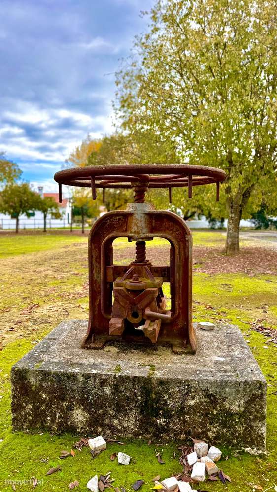 Moradia com 6 assoalhadas - 120 m2 - sótão - espaço exterior - Tremês-35