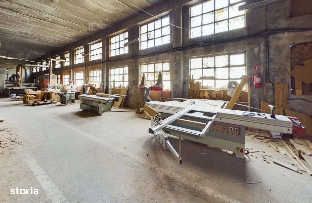 Fabrica prelucrare lemn de vanzare – Lipova, Arad-17