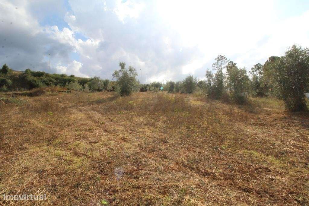 Terreno, Coimbra, Cernache - Grande imagem: 3/3