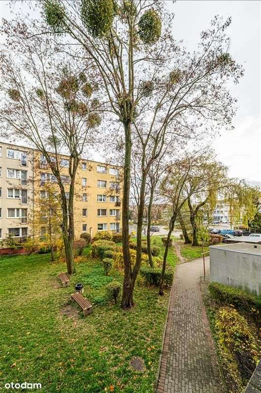 Mieszkanie - Gdynia Chylonia-11