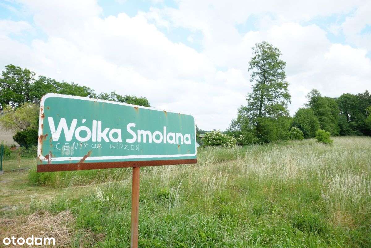 Wólka Smolana, gm. Brochów, media, las-1