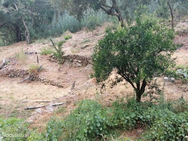 Terreno em santa marinha do zezere - Grande imagem: 5/9