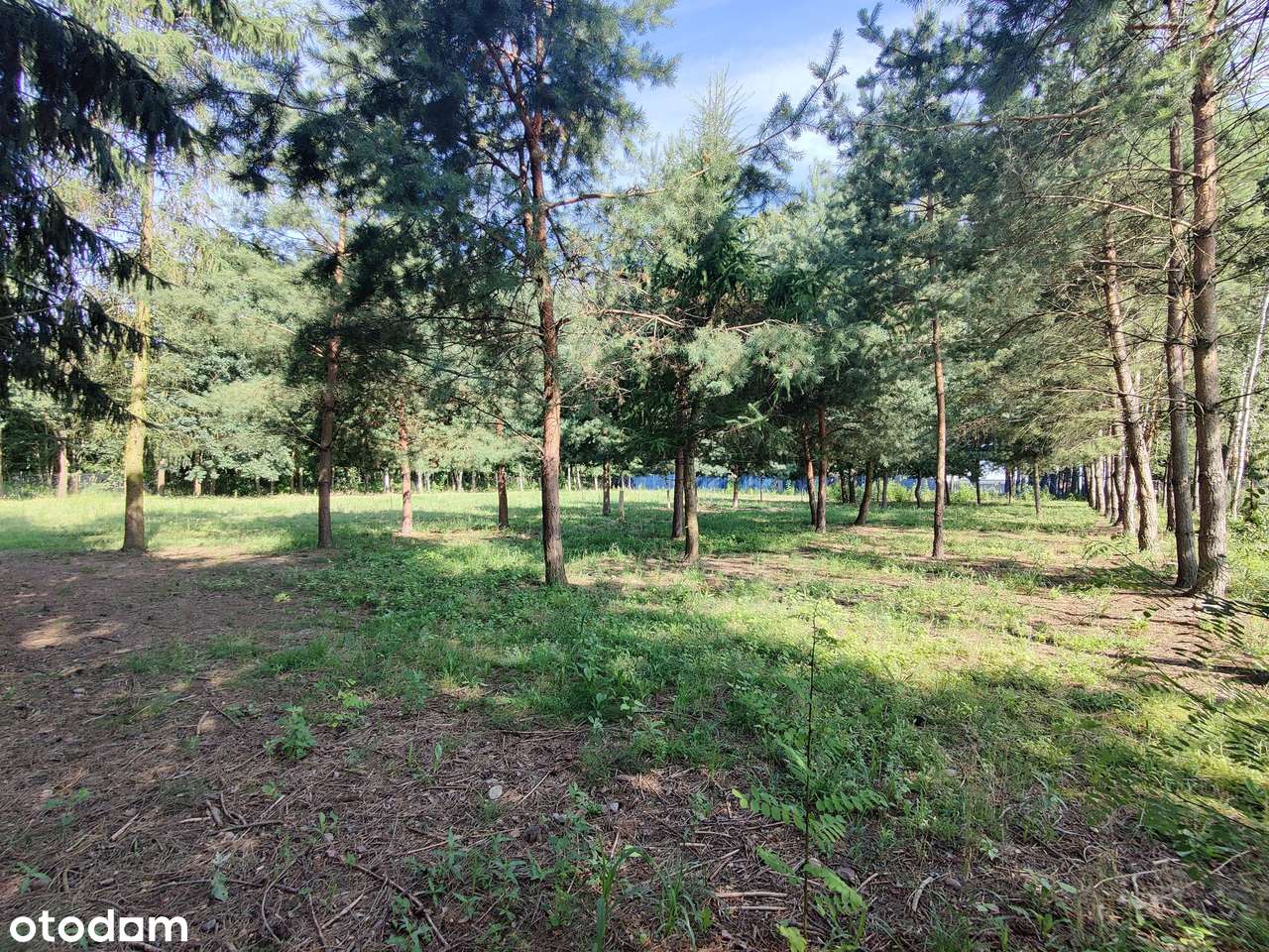 Ogrodzona rolno-budowlana w Janowie-9