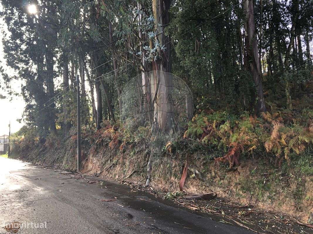 Terreno  para venda - Grande imagem: 2/8