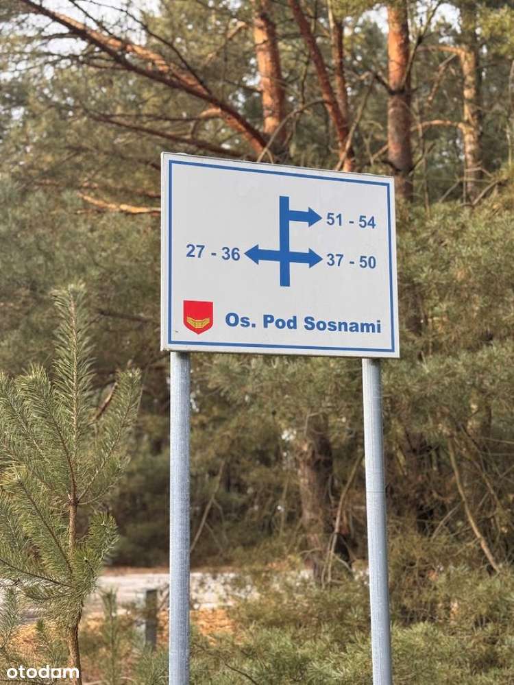 Wierzyce/Osiedle Pod Sosnami/P,W,G,K-13