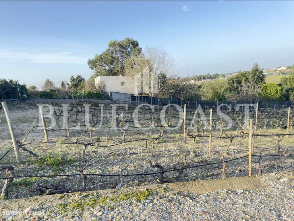 Fantástica Moradia V5 nos arredores de Setúbal - Qualidade de vida ...-50