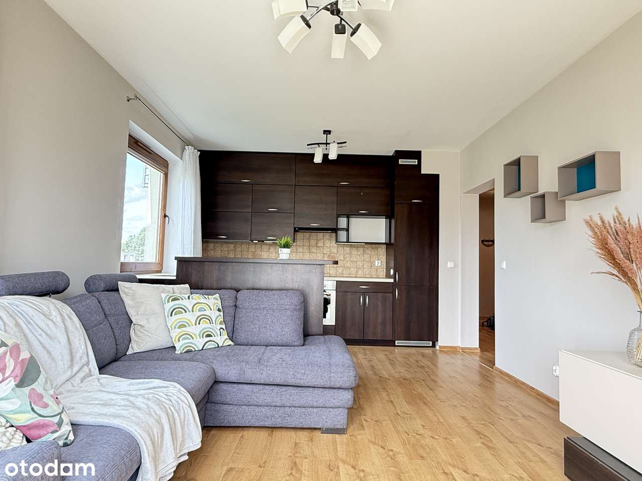 Duży Taras, Maślice przy lesie i zieleni-2