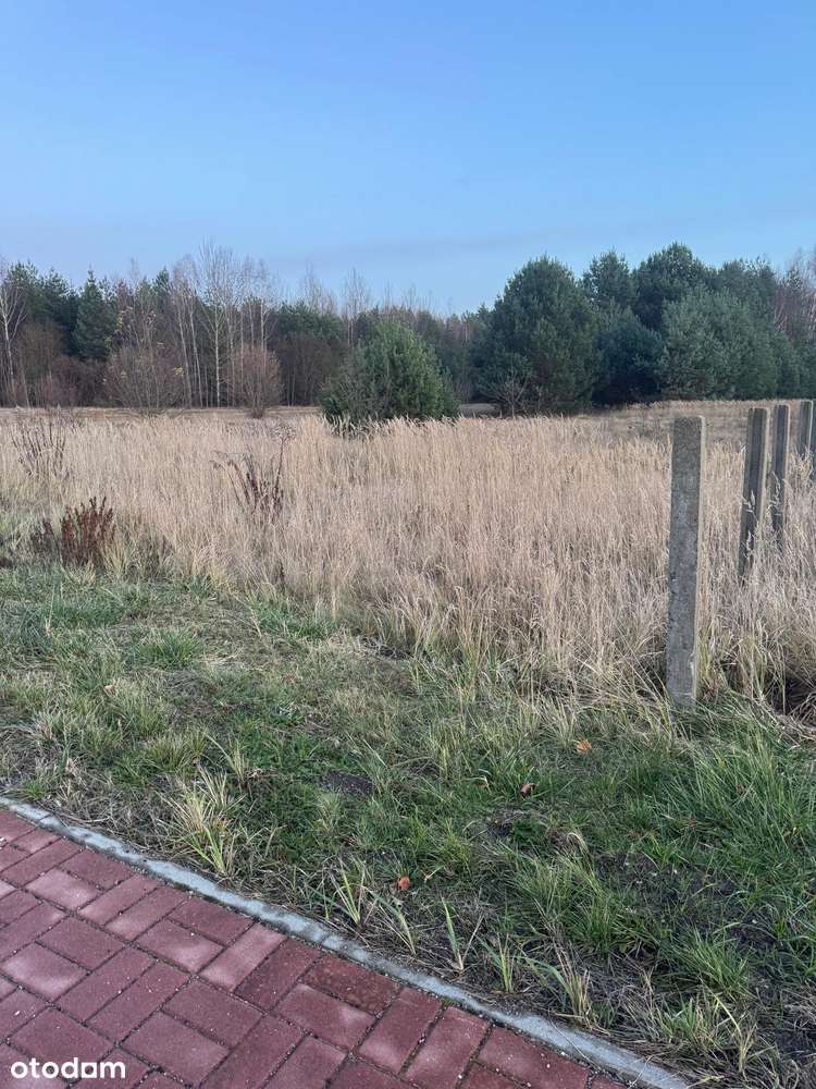 Piękna działka Zbójno gmina Fałków.-1