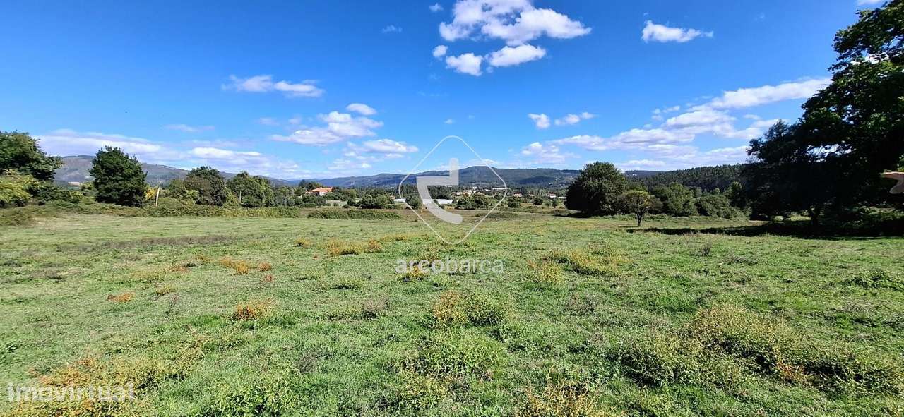 Quinta Agricola de 6Hect. c/casa T3 em Calvelo - Ponte de Lima-21
