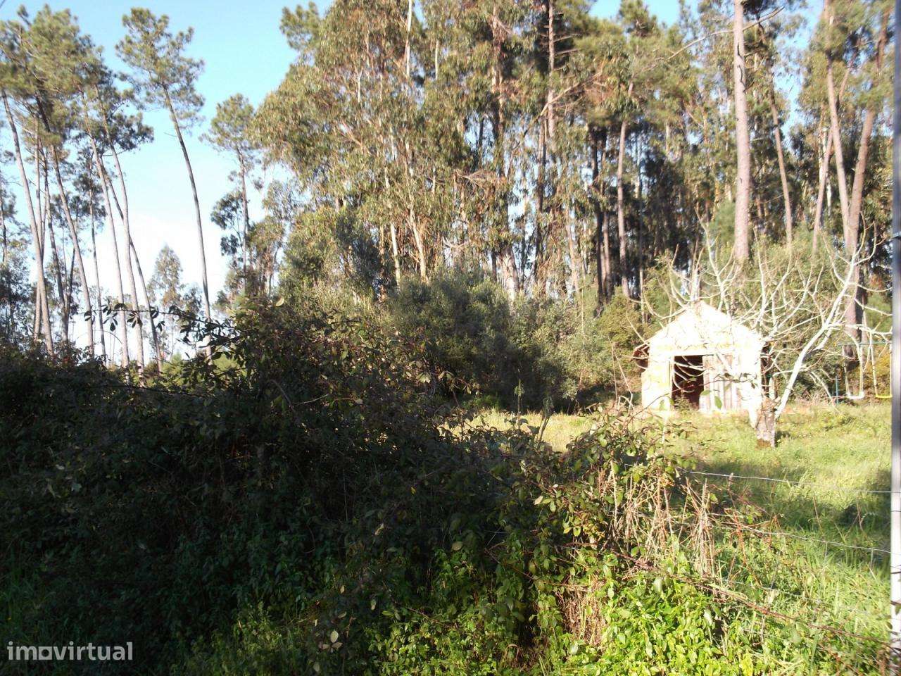 Excelente terreno para construção - Grande imagem: 2/4
