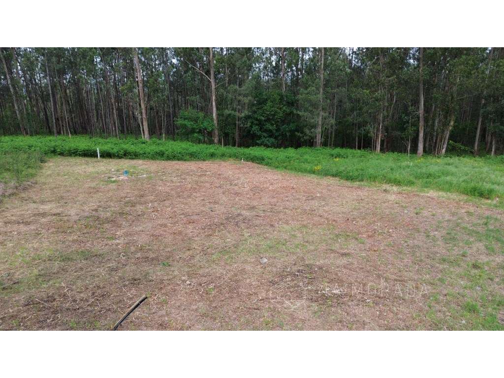Lote com projeto aprovado para moradia em São Miguel de Souto - San...-16