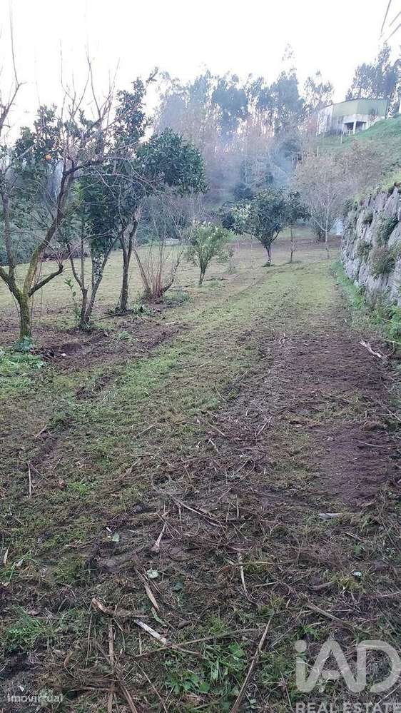 Terreno em Santo isidoro e livração de 2100,00 m2 - Grande imagem: 4/25