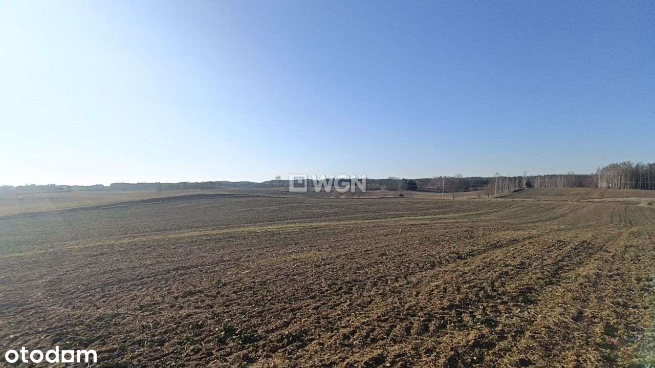 Działka blisko plaży gminnej - Pełny obrazek: 4/13