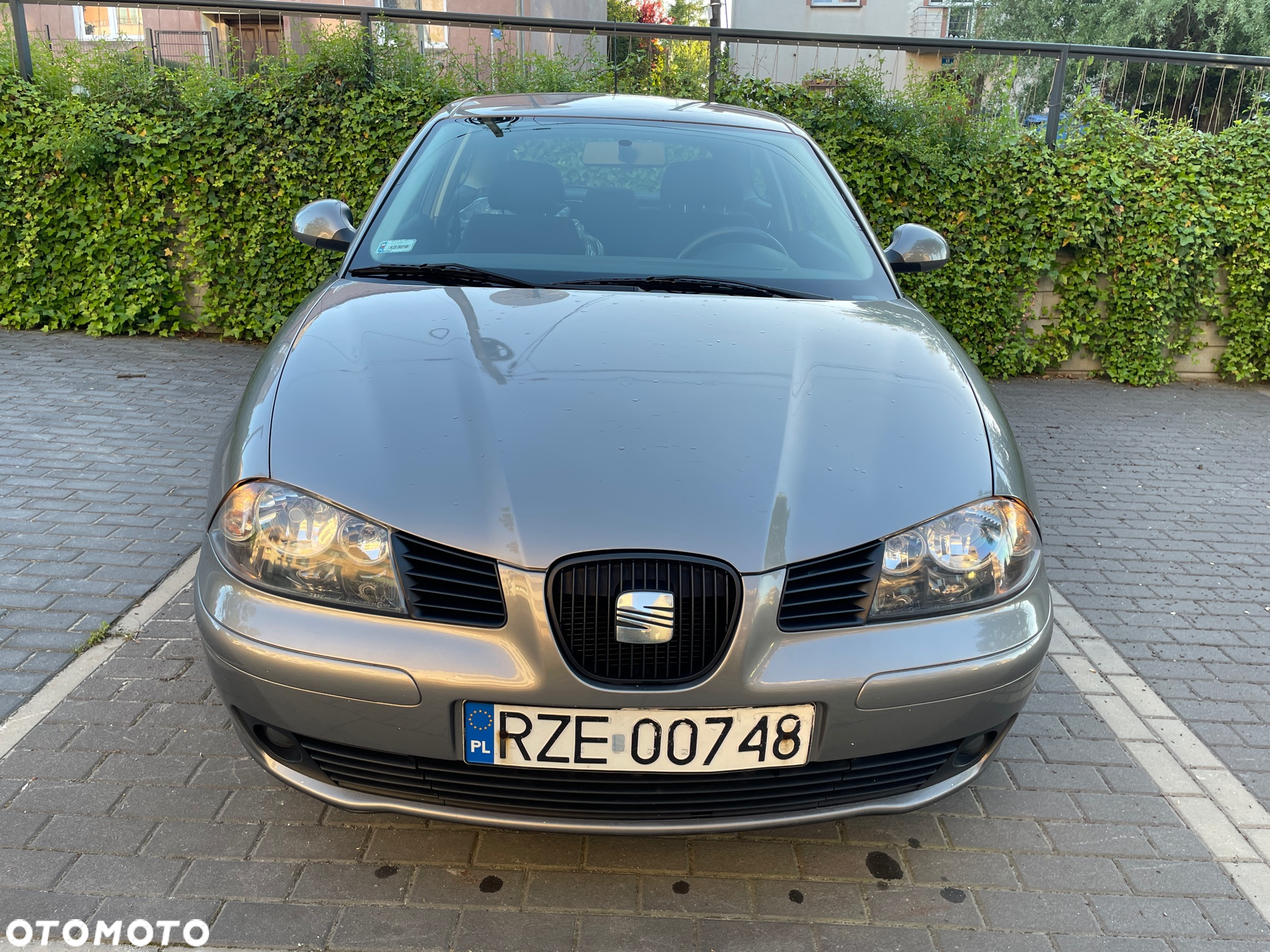 Seat Ibiza - 9