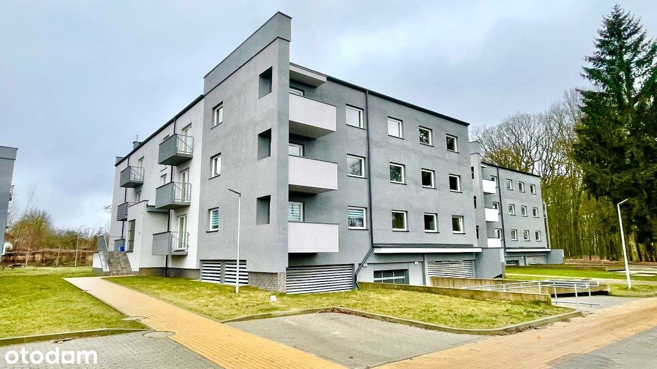 Nowe mieszkanie na wynajem od zaraz Goleniów - Pełny obrazek: 5/6