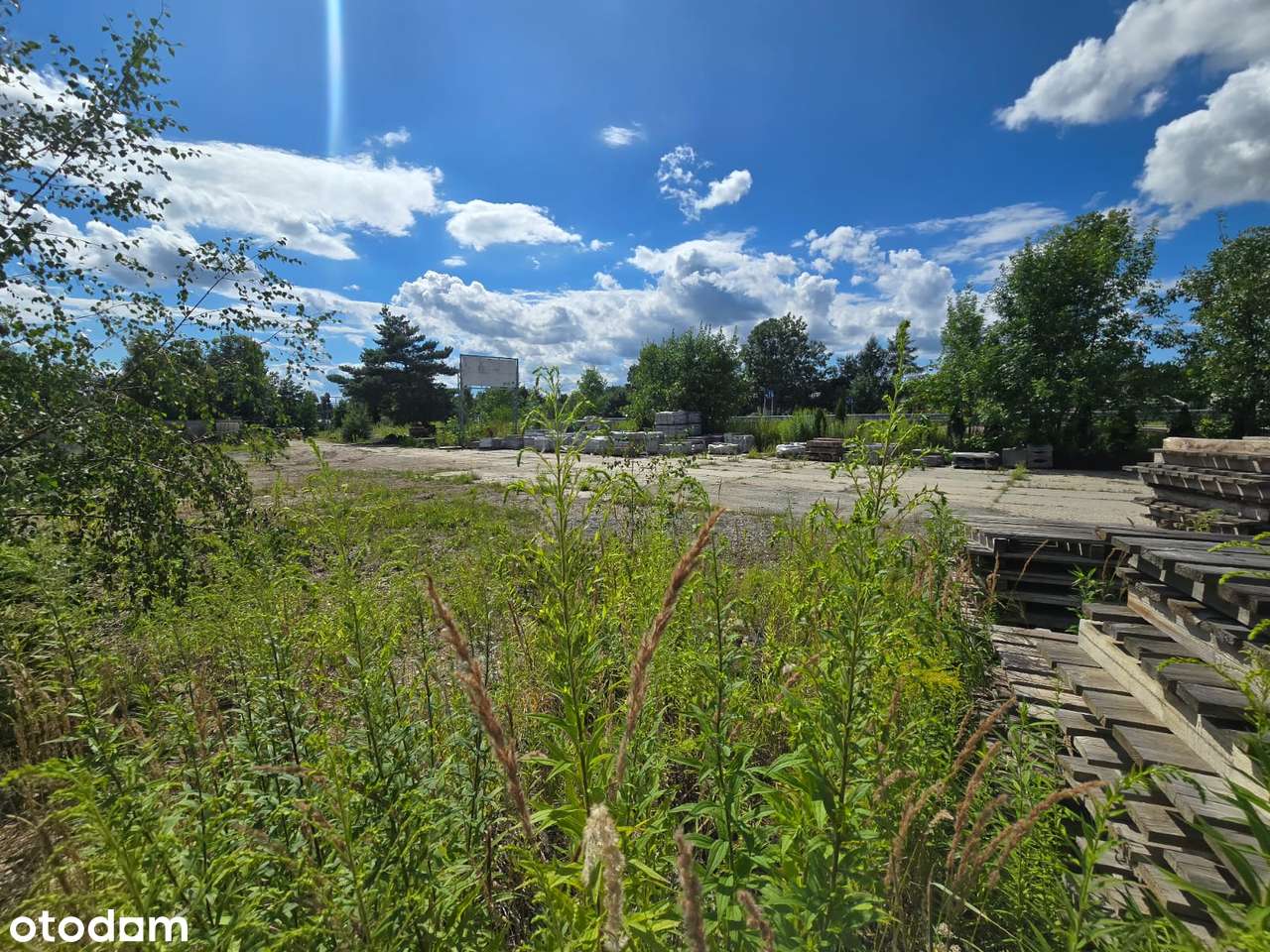 Działka, 6 015 m², Orzesze - Pełny obrazek: 1/5