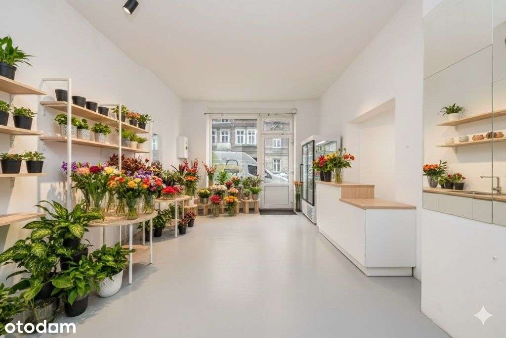 Lokal usługowy z dużą witryną, 53,5 m2 w centrum - Pełny obrazek: 3/14