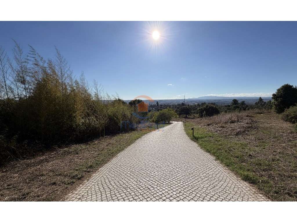 Quinta T5 de luxo em São Pedro de Tomar | Tomar-59