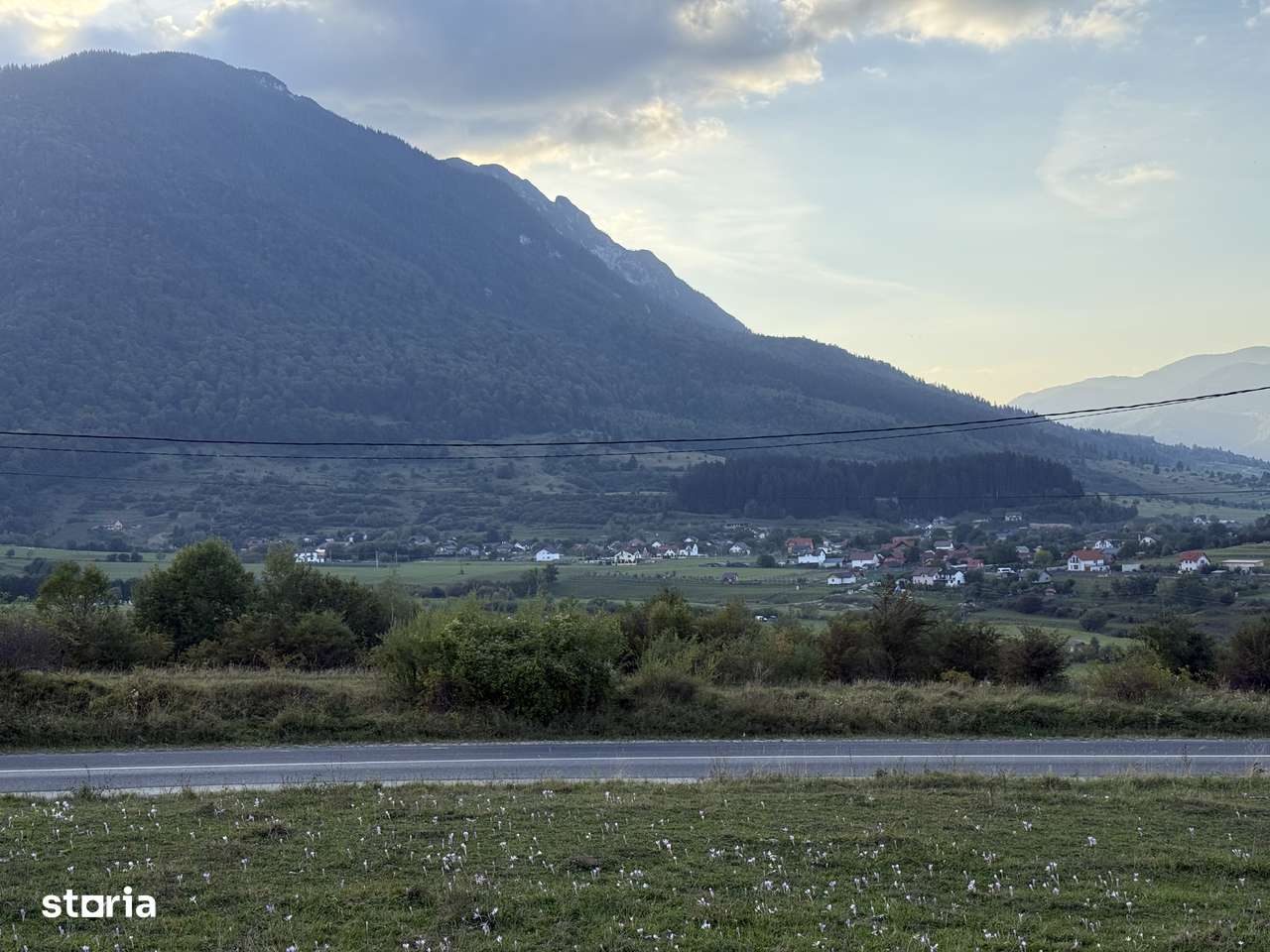 Teren intravilan 500 sau 1000 mp Bran-Tohanita la dum asfaltat-0