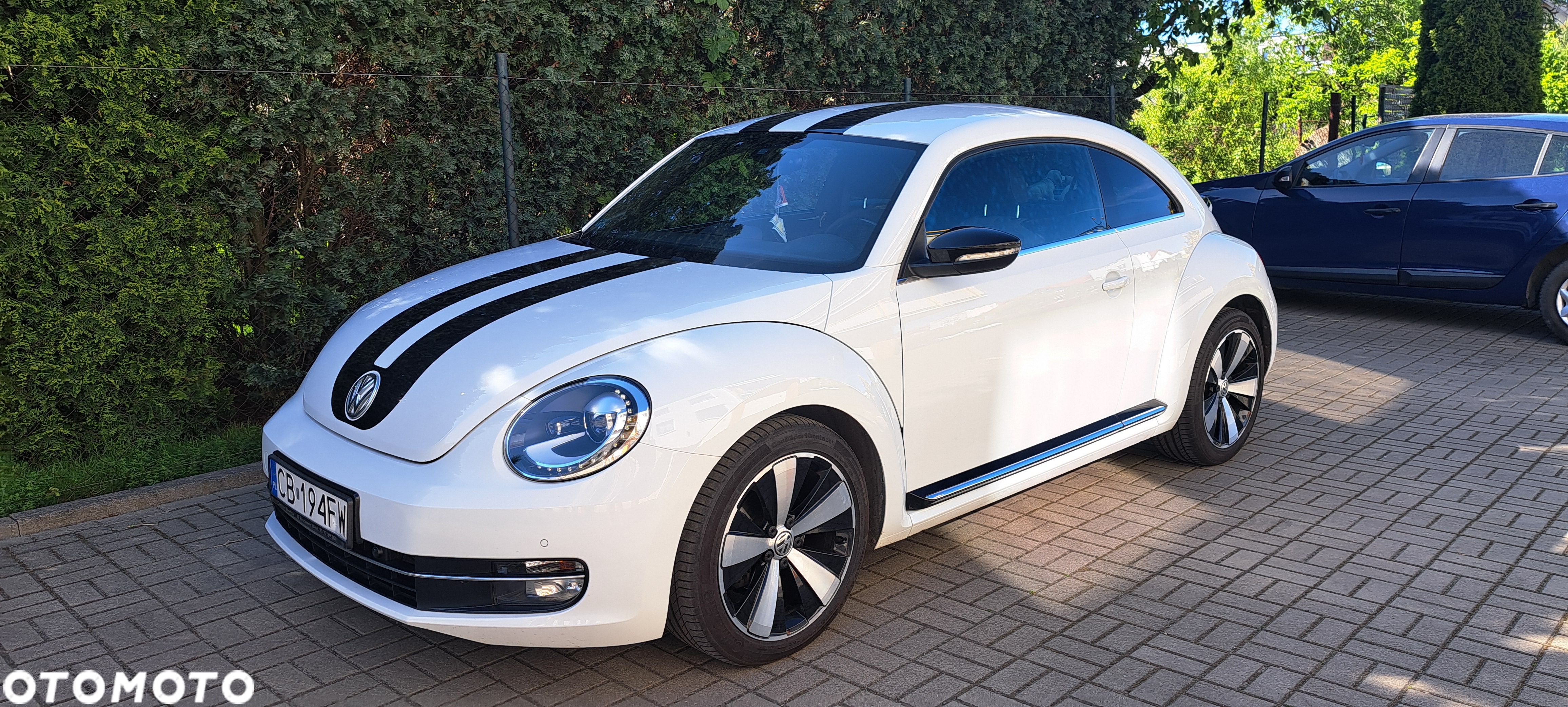 Volkswagen Beetle - 1