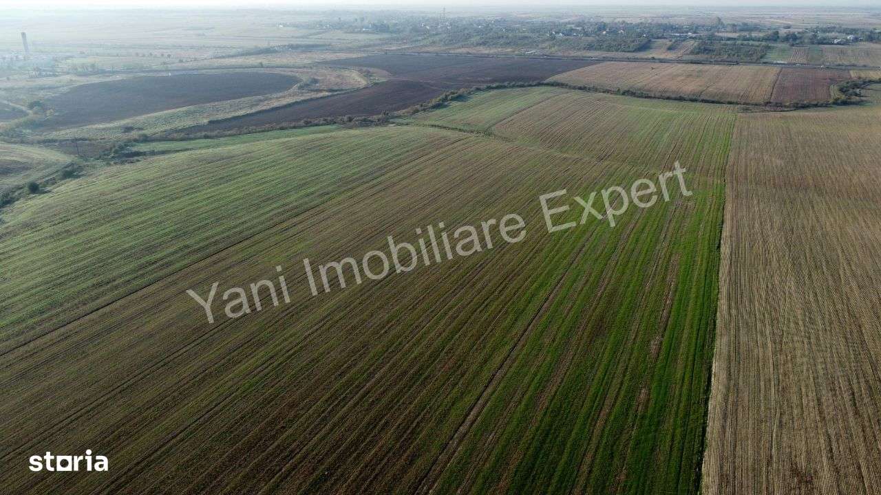 Teren de vânzare în comuna Căteasca / Argeș, lângă autostradă - Imagine principală: 3/10