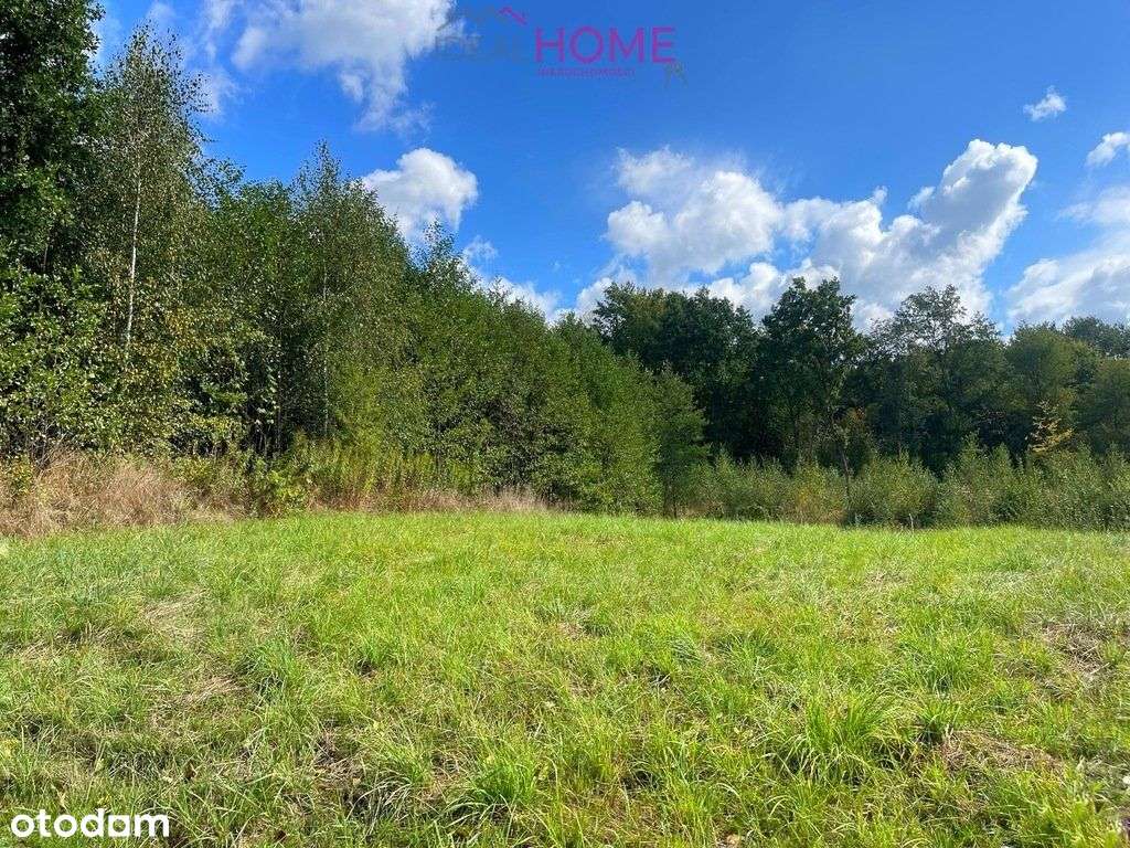 Działka - Golcowa 30 a (pow. brzozowski) - Pełny obrazek: 3/18