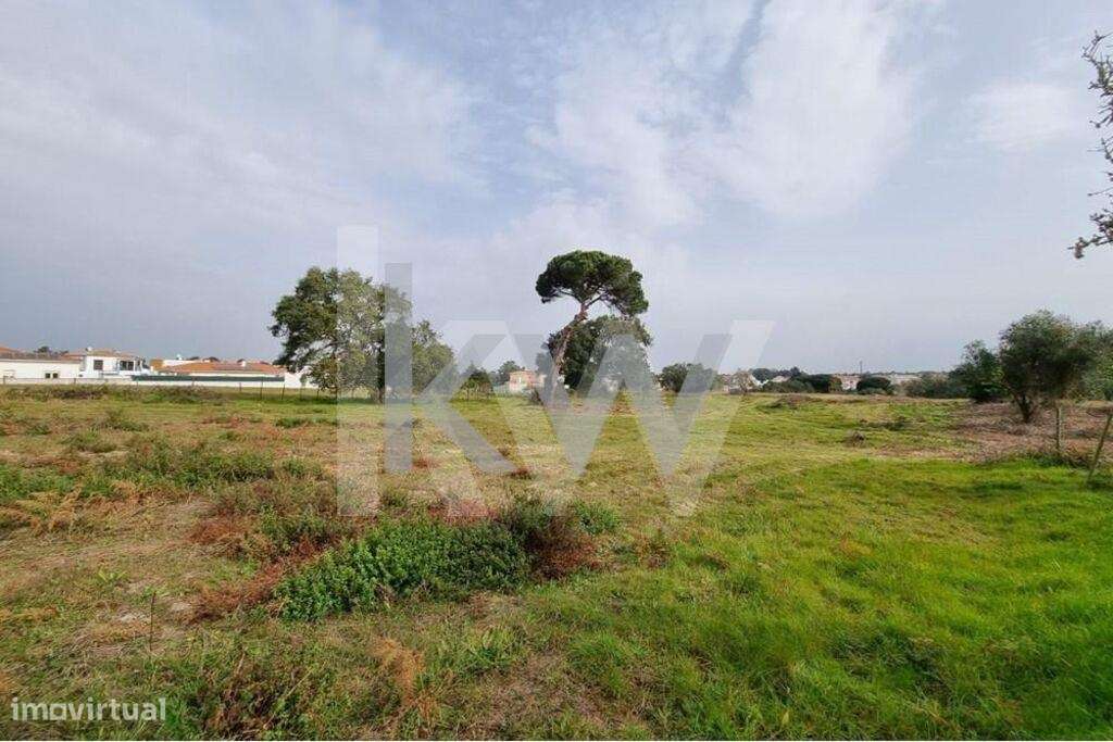 Venda Terreno 9.500m2 urbanizável para duas moradias - Excelente oport - Grande imagem: 2/17