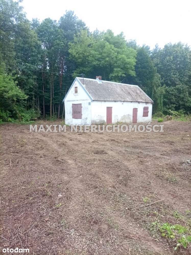 Dom Krajkowok/Raciąża na działce 6700m2