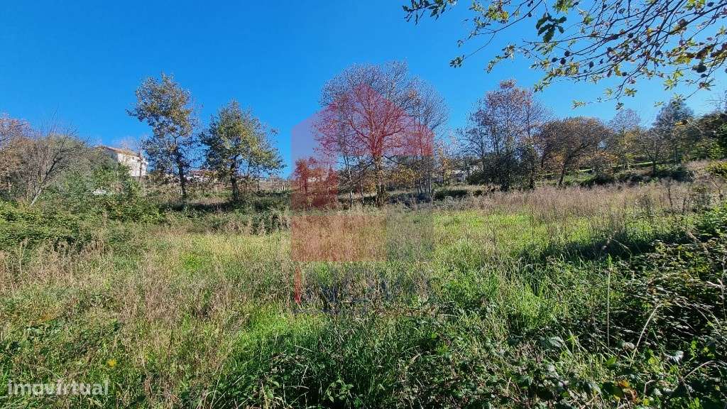 Terreno para construção em Oliveira - Grande imagem: 5/19