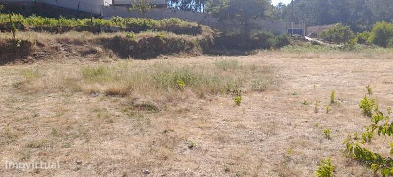 Terreno Rústico para venda em Sever de Vouga - Grande imagem: 5/5