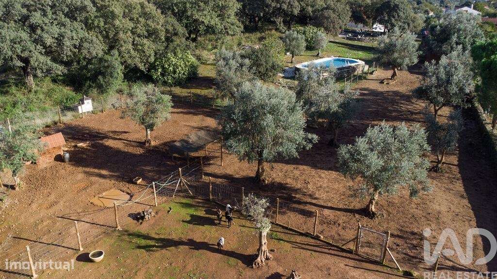 Quinta rural T7 em Areias e Pias de 500 m2 - Grande imagem: 4/40