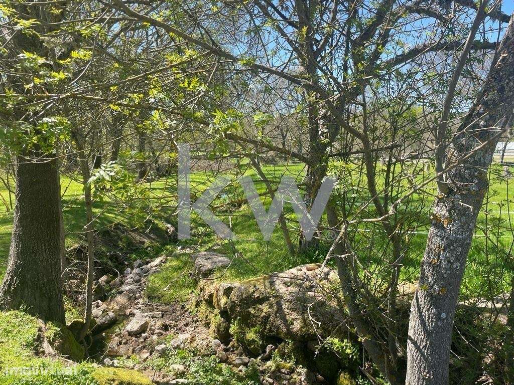 Quinta rural com 3 hectares completa com equipamentos e tractor - Grande imagem: 5/28