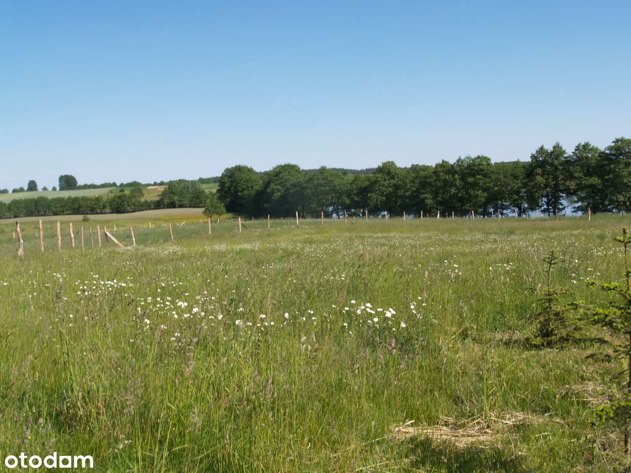 Wyjątkowe siedlisko z domem | Laseczno Małe| Cisza • Natura • Komfort-4