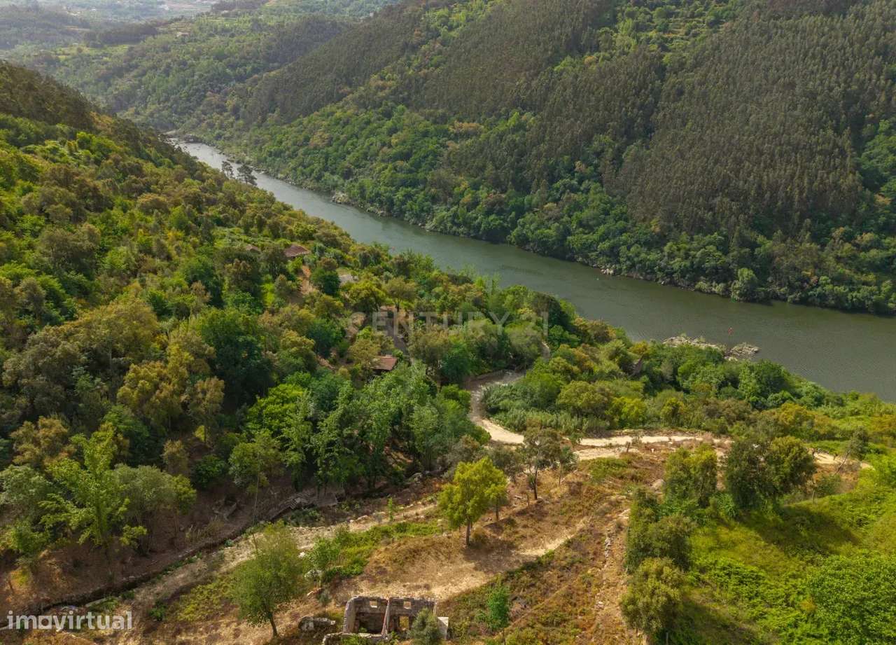 Quintinha com Vista Deslumbrante sobre o Rio Douro-6