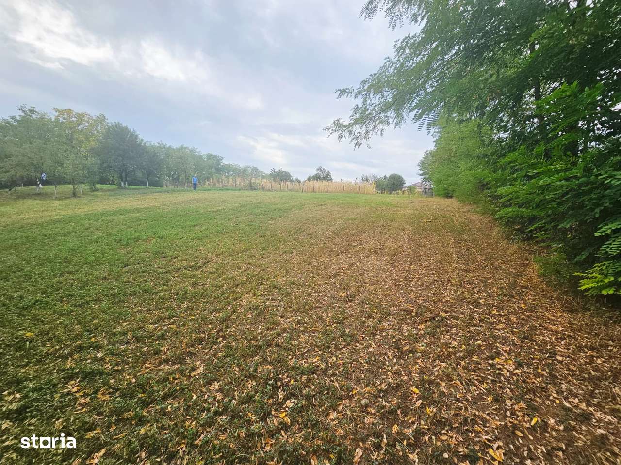 Teren intravilan, cu priveliște – Vălenii de Munte - Imagine principală: 5/19