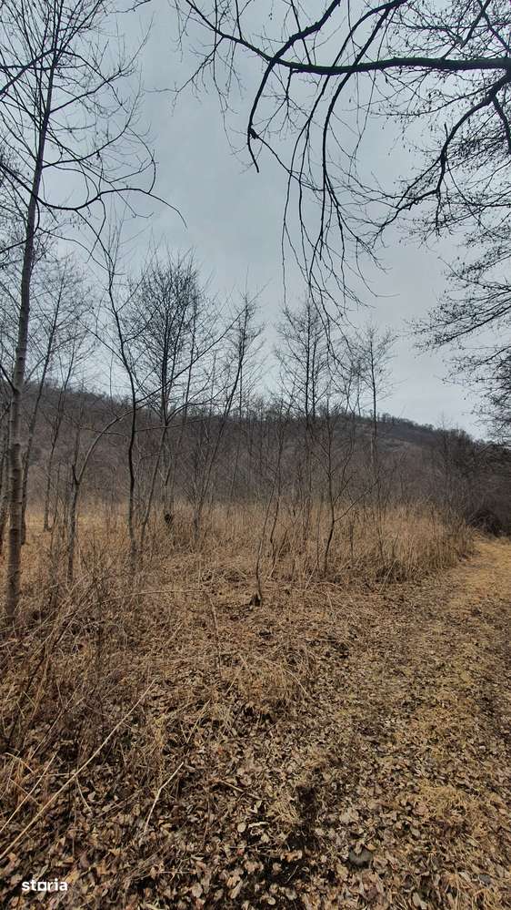 Teren Stana de Vale Sovata - Telek Patakmajor - Imagine principală: 5/17