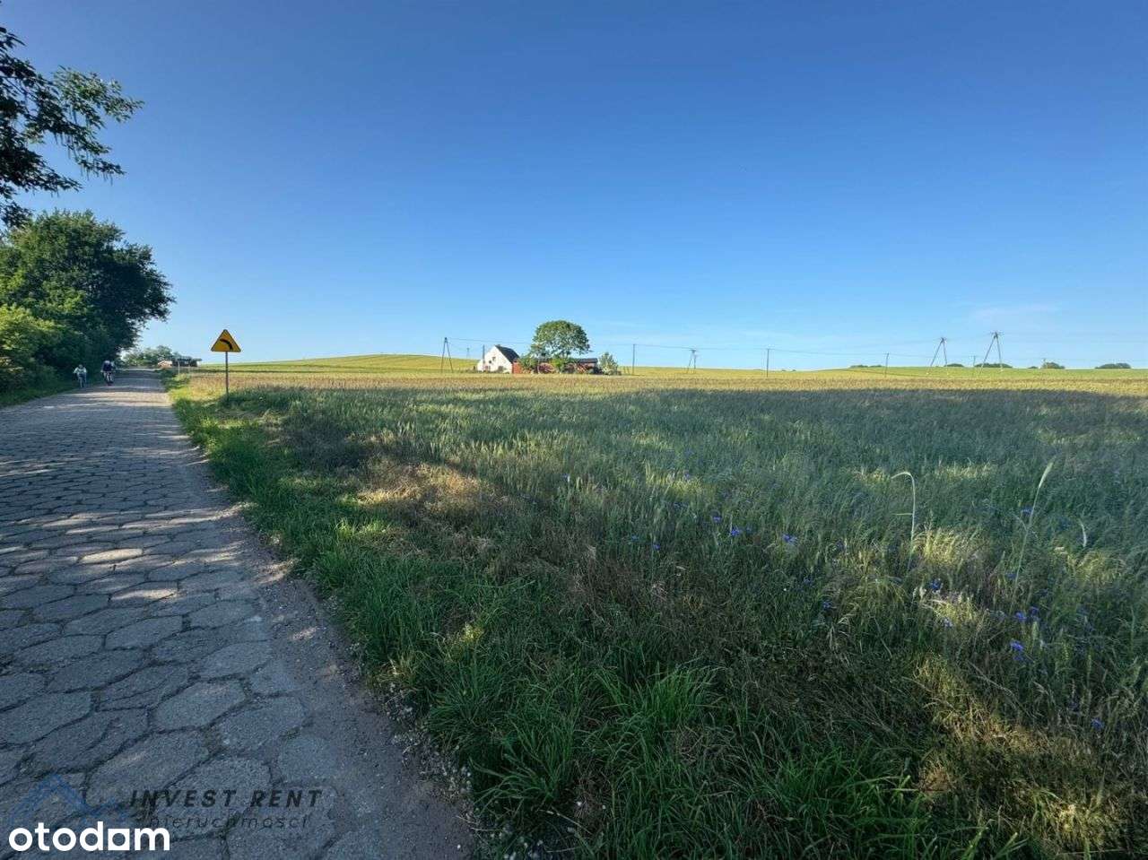 Wyjątkowe siedlisko o pow. 2,98ha - Nowogardek - Pełny obrazek: 4/7